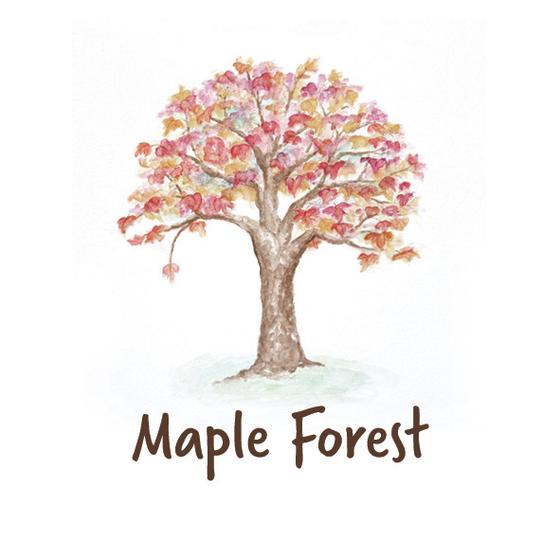 maple forest educatief speelgoed