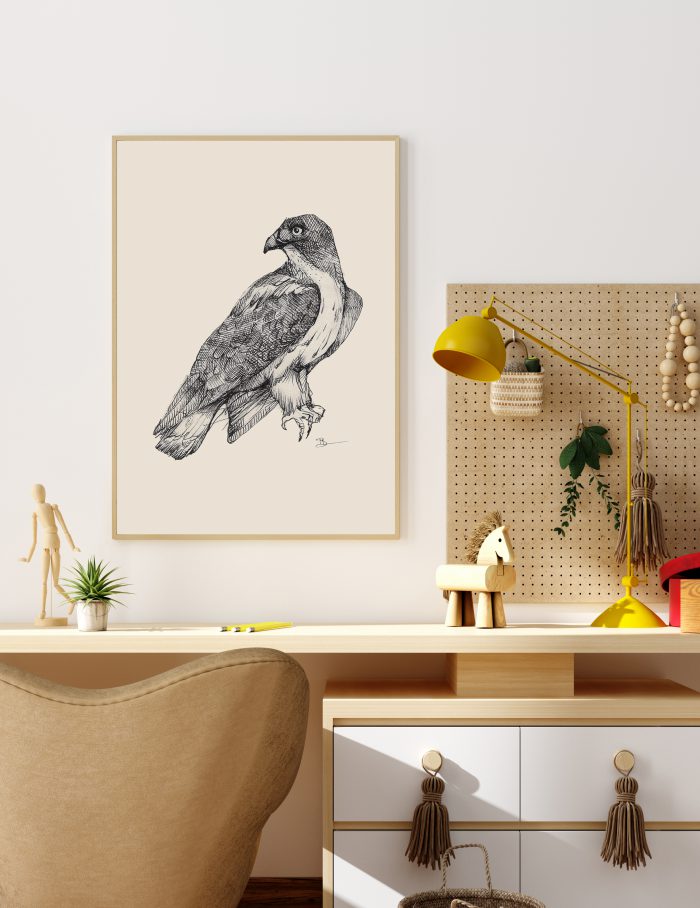 Poster red tailed hawk